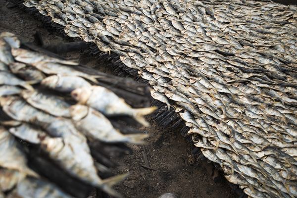 The Complex Impact of Climate Change in West Africa