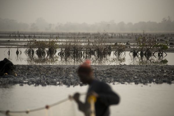 The Complex Impact of Climate Change in West Africa