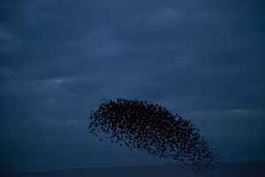 Exploring the Subliminal Patterns of Everyday Life