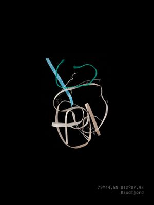 Portraits of Plastic Pollution in the High Arctic