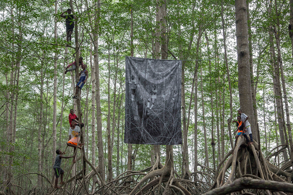 Inside the Vast Mangrove Forests of Ecuador
