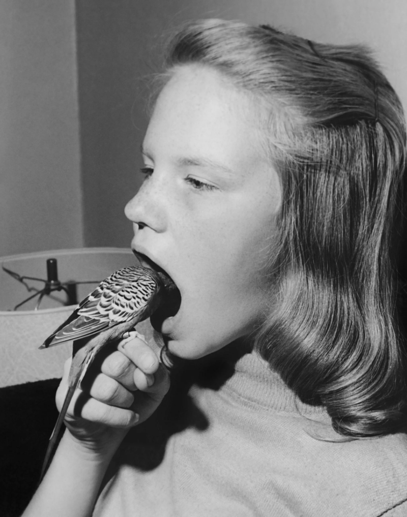 A Study of Incarceration Outside of Prison Walls