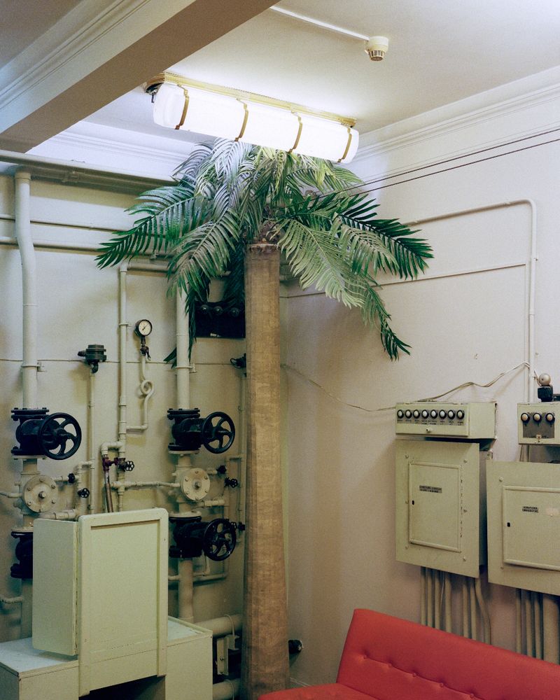 © Jacek Fota, from the series, PKiN. Palms at the Studio Theatre smoking room, left behind after performance.