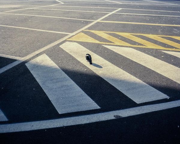 © Alvaro Deprit, from the series Fiesta