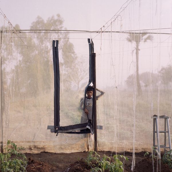 The Alternative Greenhouses Revolutionising Indian Agriculture