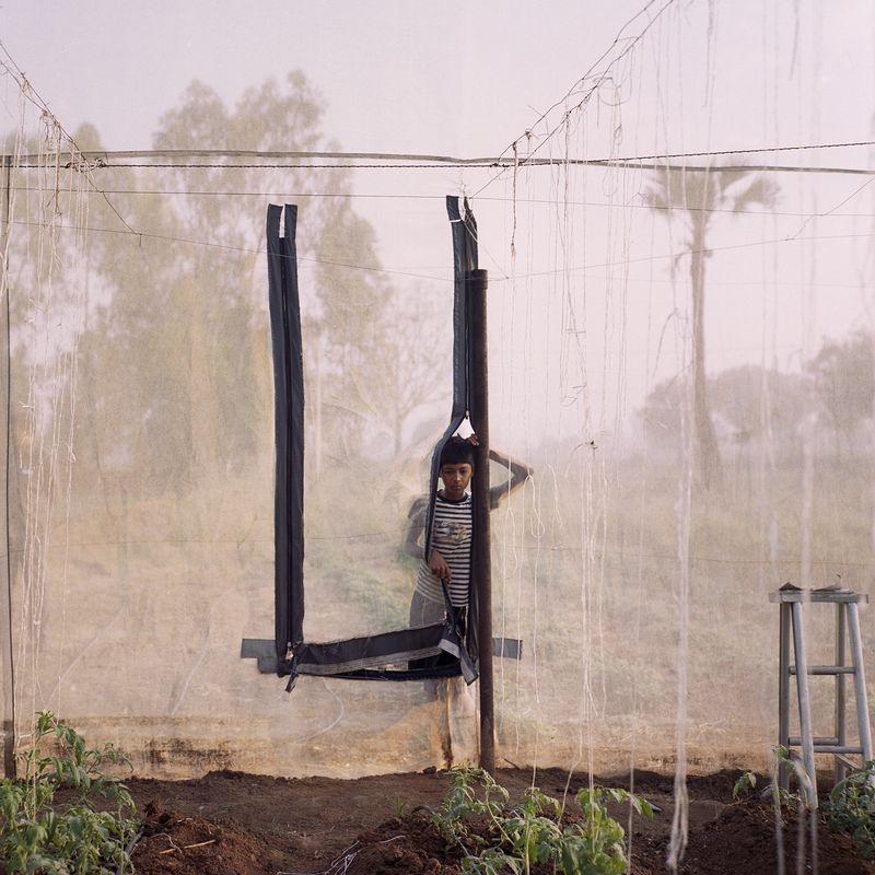 The Alternative Greenhouses Revolutionising Indian Agriculture