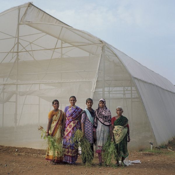 The Alternative Greenhouses Revolutionising Indian Agriculture