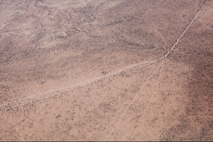 In Somaliland, Recurrent Droughts Threaten Pastoralist Livelihoods