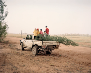 The Australian Outback: A Phenomenon Devastated by Climate Change