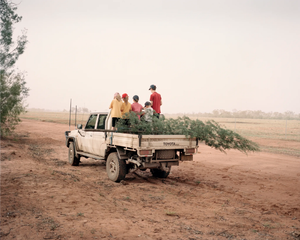 The Australian Outback: A Phenomenon Devastated by Climate Change