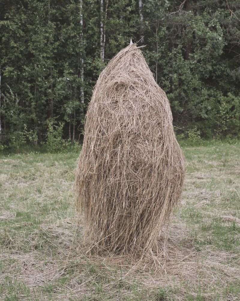 © Terje Abusdal, from the series, Slash & Burn