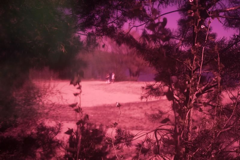 © Anna Szkoda, from the series Sirius