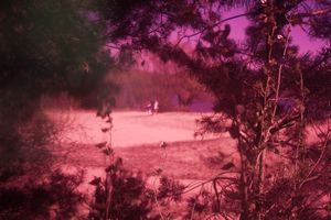 The Retelling of a True Story Stranger than Fiction