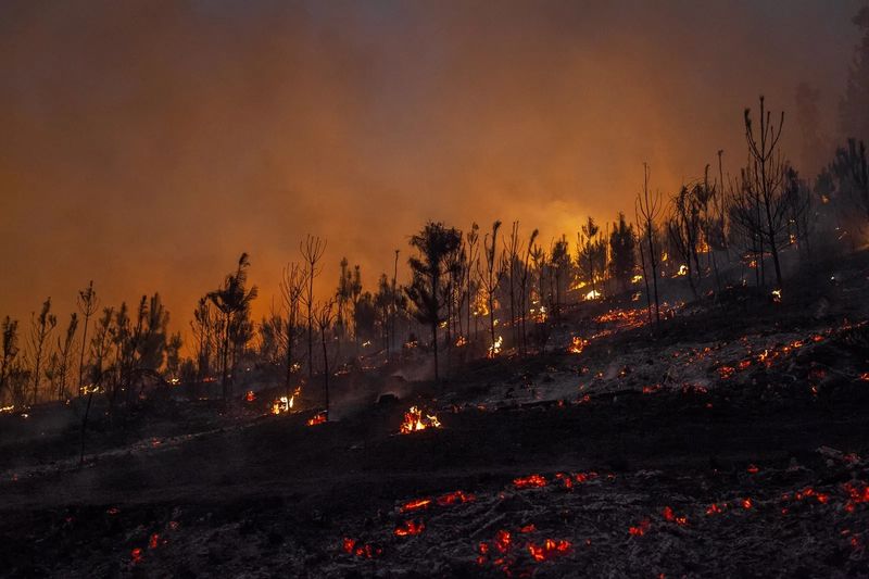 The Youth Fighting to Defend their Ancestral Beliefs