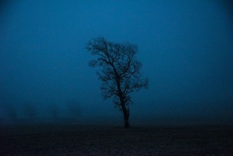 The Youth Fighting to Defend their Ancestral Beliefs