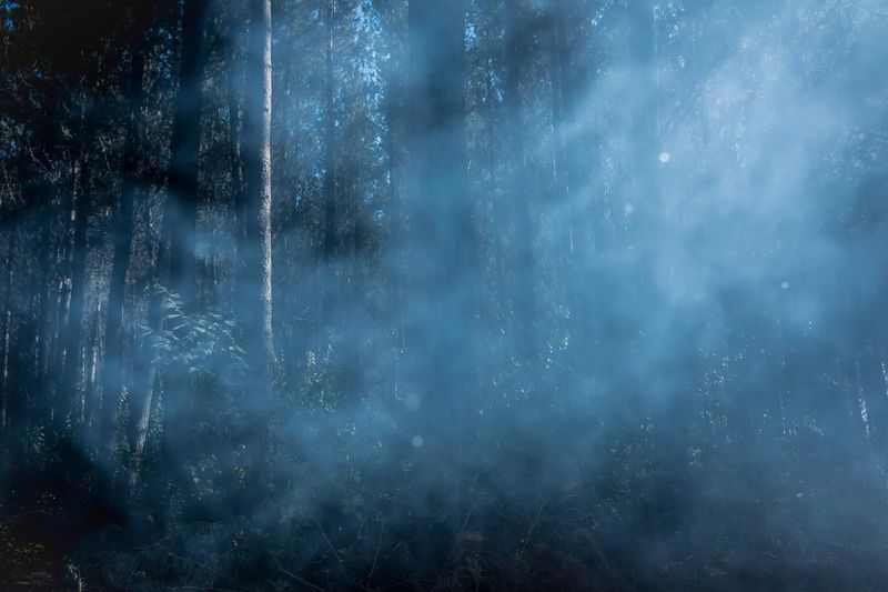 The Youth Fighting to Defend their Ancestral Beliefs