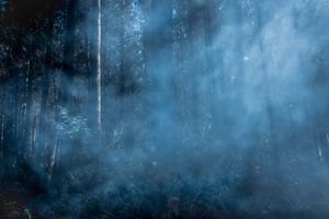 The Youth Fighting to Defend their Ancestral Beliefs