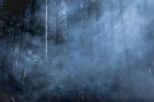 The Youth Fighting to Defend their Ancestral Beliefs