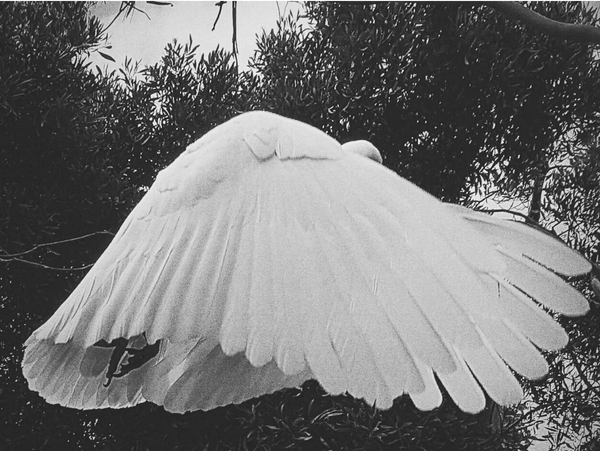 The transformative journey of motherhood