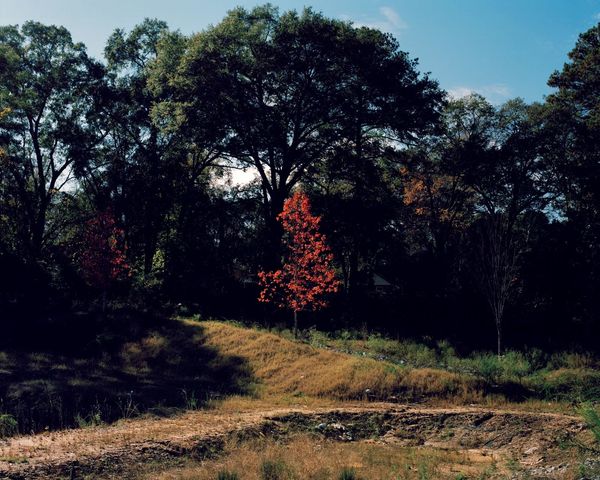 © Vincent Desailly, from the series The Trap