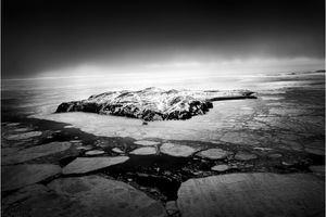 An Alternative Perspective on Seal Hunting