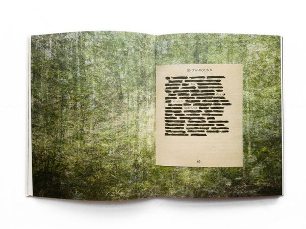 © Amani Willett, spread from the book, The Disappearance of Joseph Plummer