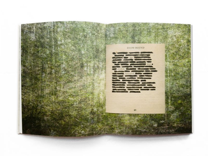 © Amani Willett, spread from the book, The Disappearance of Joseph Plummer