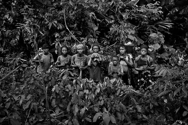 Rainforest Degradation in the Congo Basin