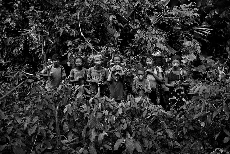 Rainforest Degradation in the Congo Basin