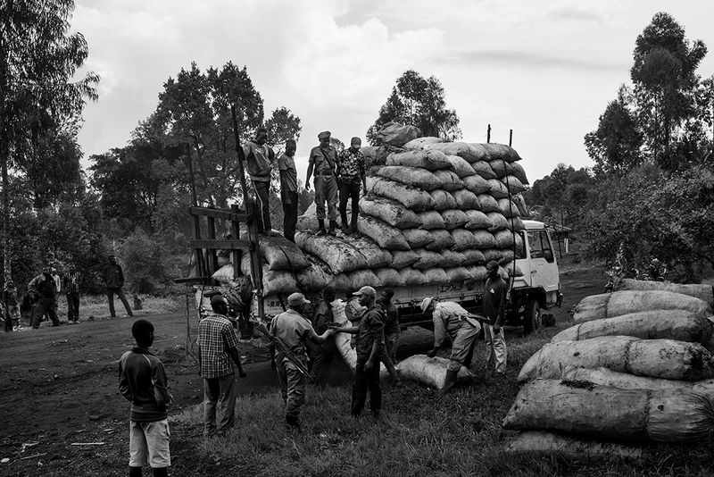 Rainforest Degradation in the Congo Basin