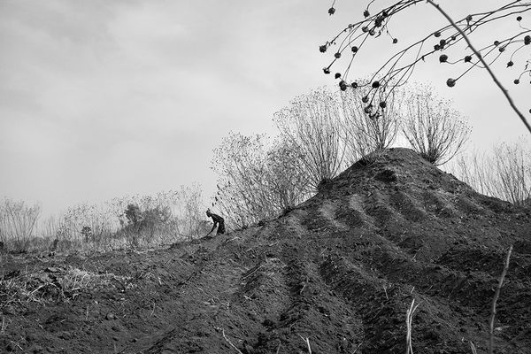 Rainforest Degradation in the Congo Basin