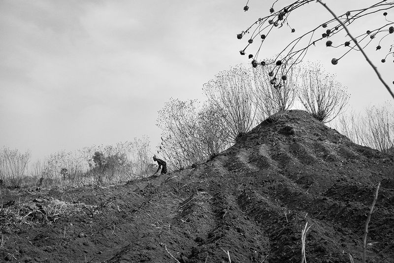 Rainforest Degradation in the Congo Basin