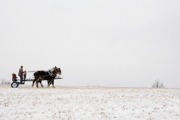 © Stéphane Lavoué, from the book, The Kingdom