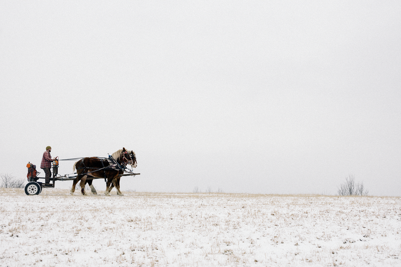 © Stéphane Lavoué, from the book, The Kingdom