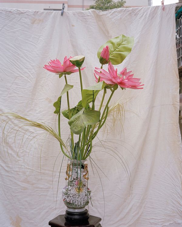 © Ke Peng, from the series Primal Planet