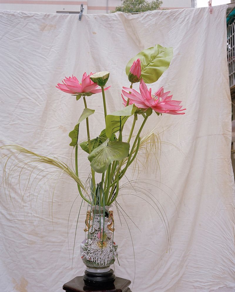 © Ke Peng, from the series Primal Planet