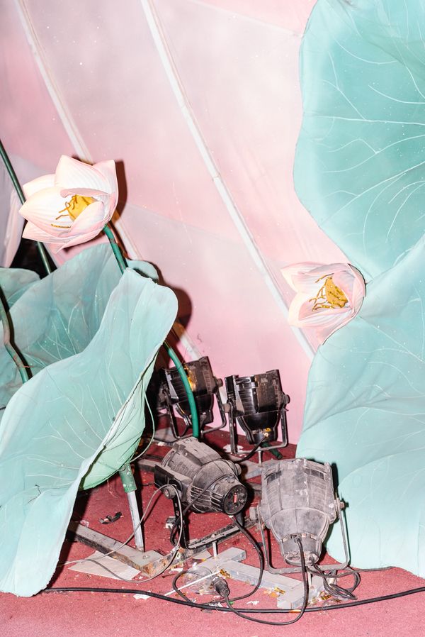 © Simone Sapienza, from the book Charlie surfs on Lotus Flowers, published by Akina Books