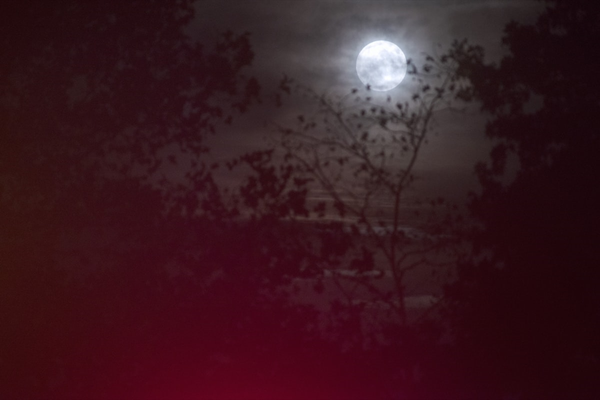 © Nina Berman, from the book An autobiography of Miss Wish