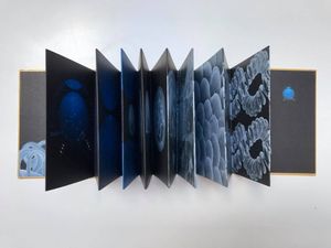 Between Science and Science Fiction