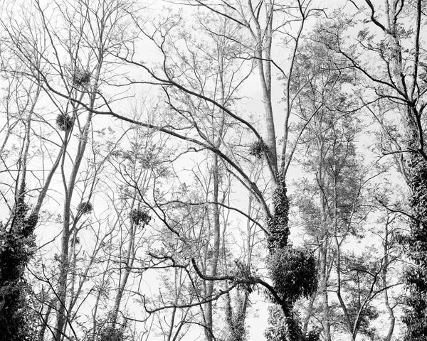 © Thomas Bouquin, from the series, The Rock of Ercé