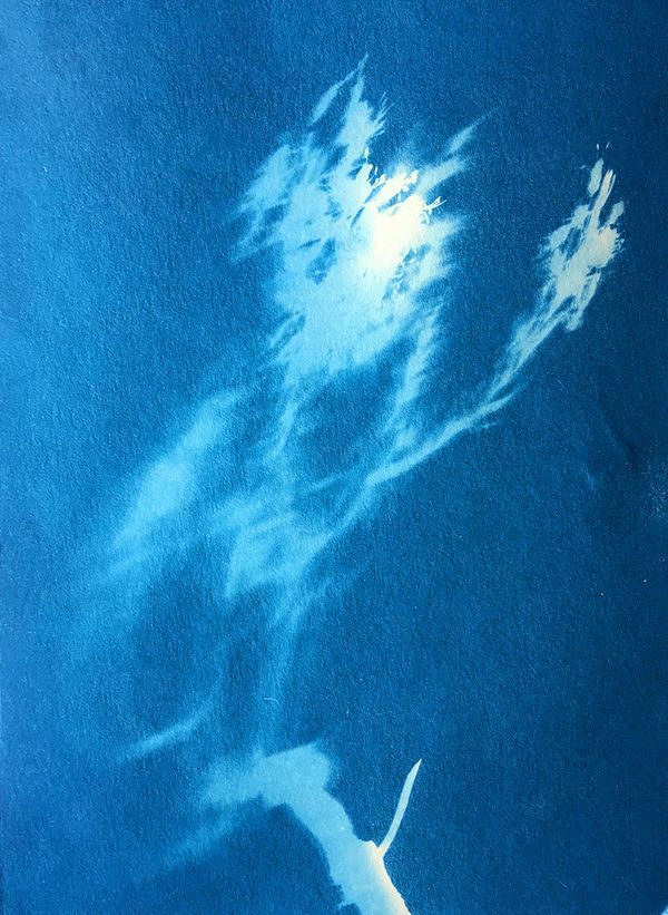 © Katie Holten, from the work in progress, Stone Alphabet