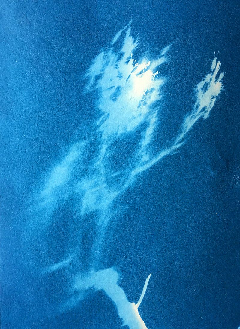 © Katie Holten, from the work in progress, Stone Alphabet