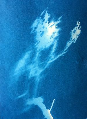 Visualising the Challenges of the Anthropocene