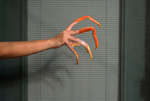 Visualizing What Individual Madness Looks Like