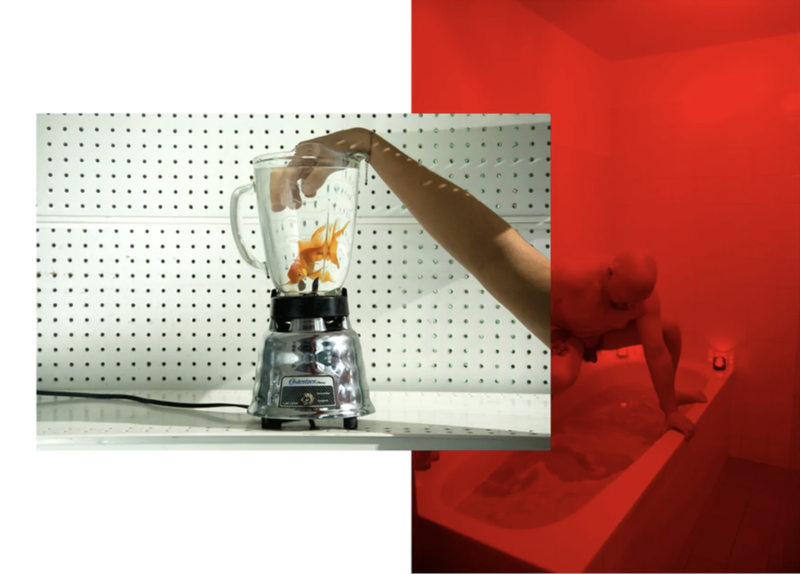 Visualizing What Individual Madness Looks Like