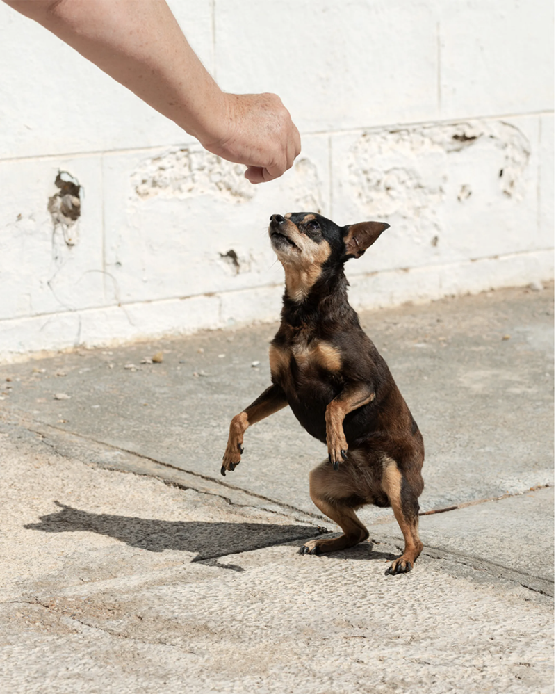 An uncanny journey along Diamond Coast