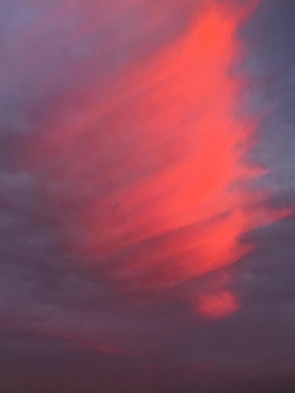 © Laura El-Tantawy, from the book, Beyond here is nothing