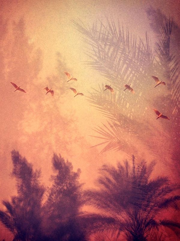 © Laura El-Tantawy, from the book, Beyond here is nothing