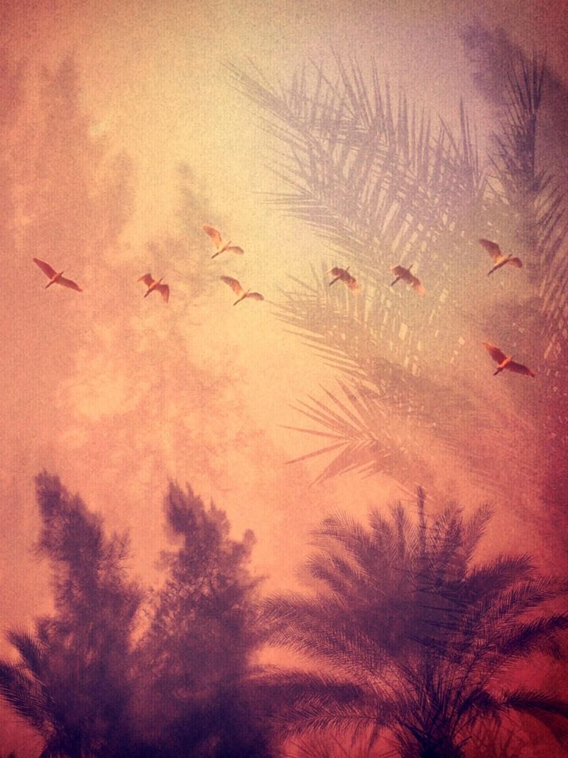 © Laura El-Tantawy, from the book, Beyond here is nothing