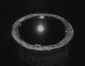 Self-Discovery Through an Ancestor's Mystery